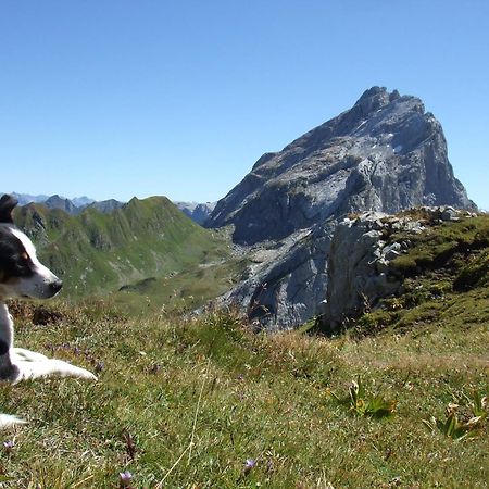 Sonnenhaus Sander Schruns Exteriér fotografie