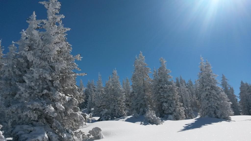 Sonnenhaus Sander Schruns Exteriér fotografie