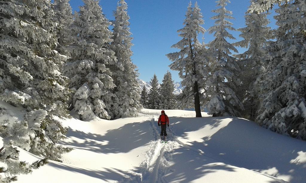 Sonnenhaus Sander Schruns Exteriér fotografie